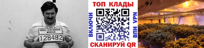Купить Cocaine  А ПВП  Лсд 25  МЕФ  Канабис  Владимир