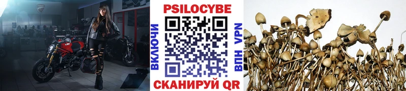 Галлюциногенные грибы GOLDEN TEACHER  Купить где  Владимир 